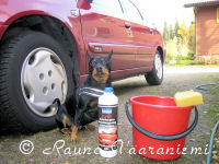 Luka valmistautuu pesem��n auton