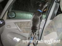 Luka odottaa autossa