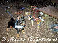 K��pi�pinseri Luka ihmettelee uudenvuoden juhlinnan j�lki�