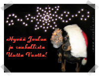 K��pi�pinseri Luka p�hitt�� hirmuisen vaarallisen krokotiilin