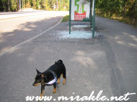 Luka jalkak�yt�v�ll�