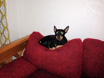 Kpipinseri Luka pivystyspaikallaan