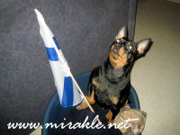 Luka itsen�isyysp�iv�n� 2006