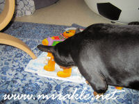 Luka joulukalenterin kimpussa