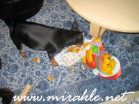 Luka joulukalenterin kimpussa