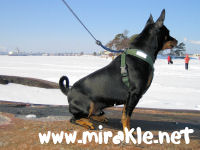 Luka katselee j��lle