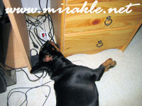 Luka lataa itse��n