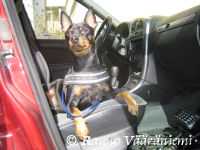 Luka katselee p��si�isen� Vill�hteen peltoja