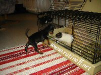 Luka ja Melanie marsu