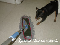 Luka maistelemassa moppia