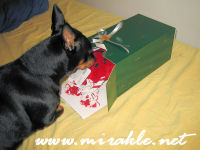 Luka jalkak�yt�v�ll�