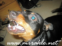 Luka marraskuisella rannalla