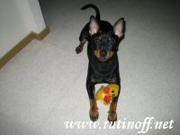 P��si�isen hempeytt�