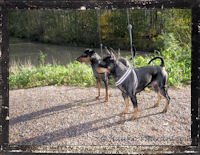 K��pi�pinserit Luka ja Kris Keravajoen rannalla