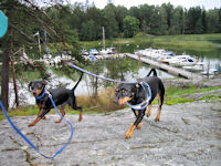 K��pi�pinserit Kris ja Luka kirmailevat rantakalliolla