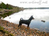 Luka juhannuksena rannalla