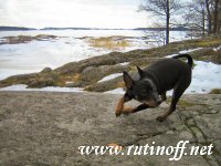 Luka maaliskuisella rannalla